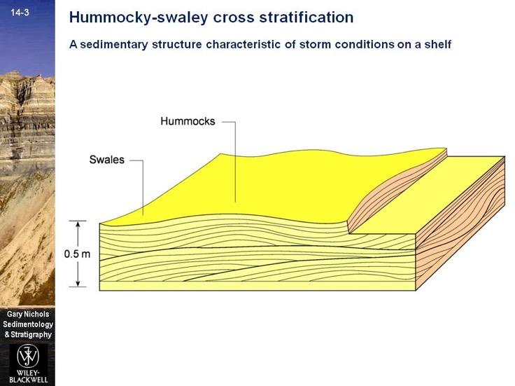 Primary sedimentary structures > Stratification & bedforms > Cross-stratification Hummocky cross-stratification occur in offshore transition zone (shallow marine) where sands are deposited and