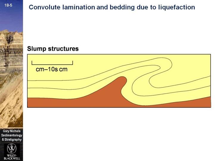 Primary sedimentary structures > Stratification & Bedforms > Irregular stratification Convolute bedding & lamination The layering within sediments can be disrupted during or after deposition by