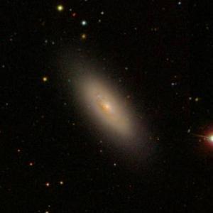 Symbols - 44 VIVA Galaxies