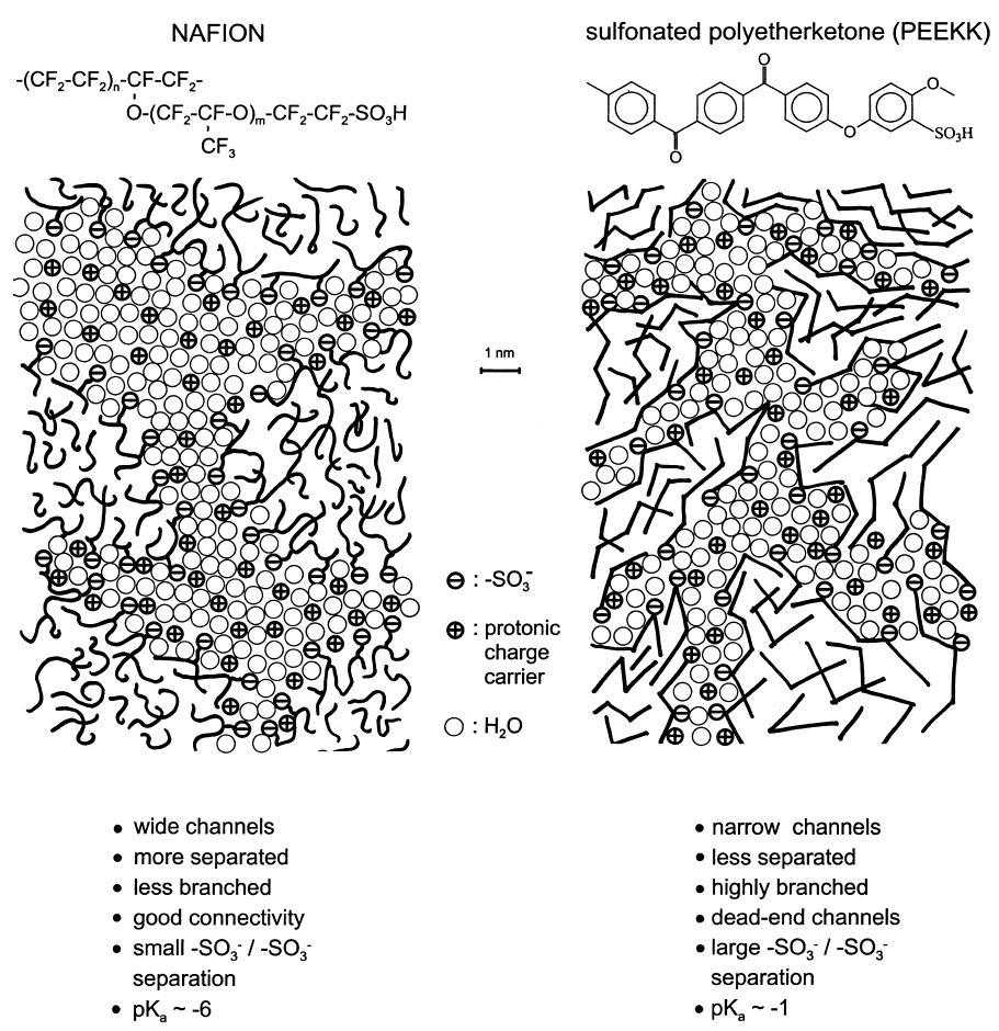 Figure 1-15. Schematic Representation of the Microstructures of Nafion and a sulfonated PEEK 41 d.