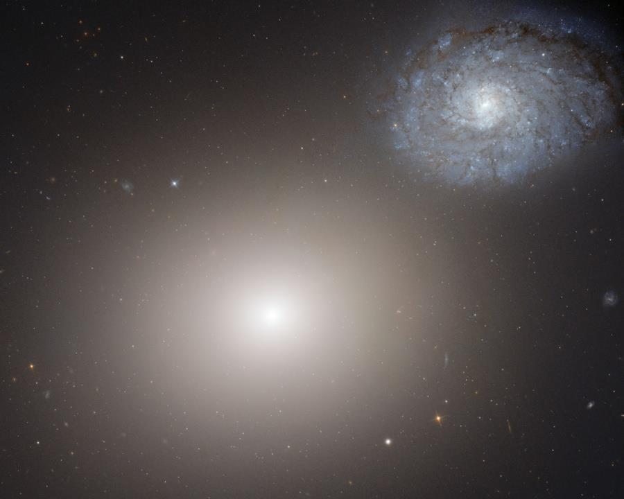 Giant elliptical galaxy M60 and spiral