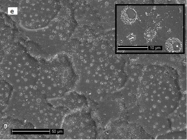 2 shows the SEM images of the samples. Fig.2a-2c shows the effects of etching time on the morphology of the samples.