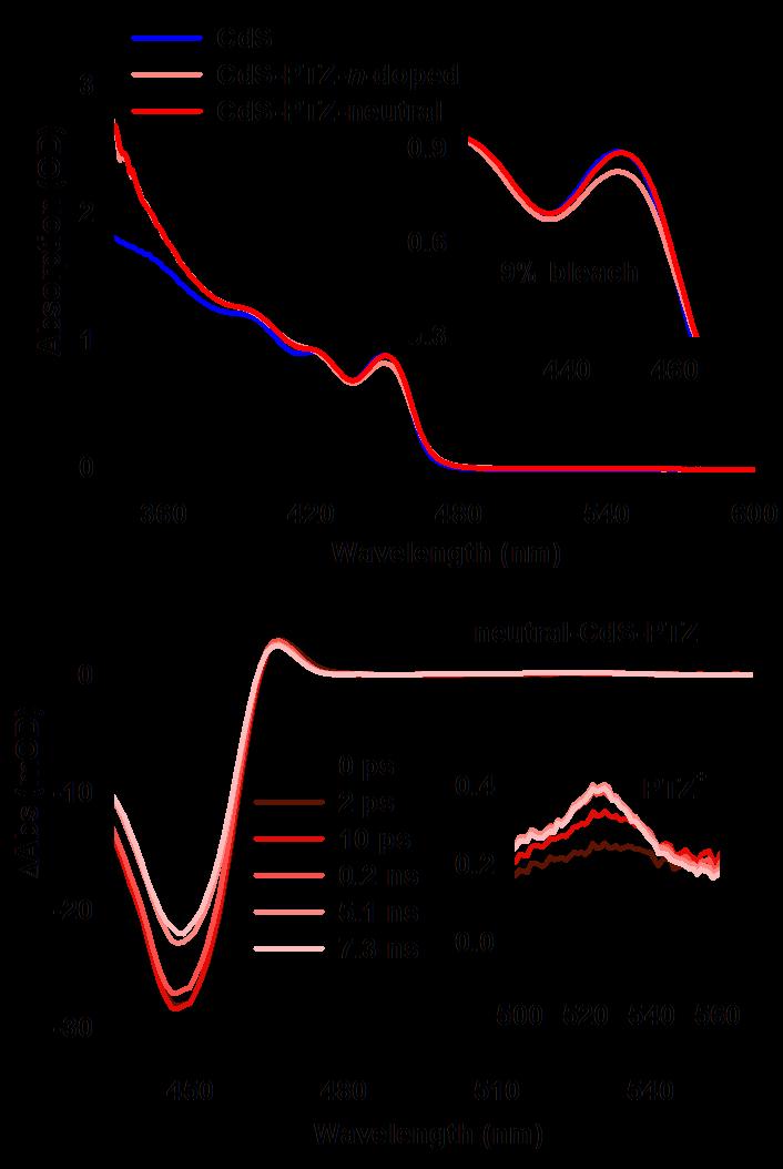 Figure S7. a) Absorption spectra of CdS QDs (blue), n-doped (light red) and neutral (red) CdS QD-PTZ complexes dispersed in hexane.