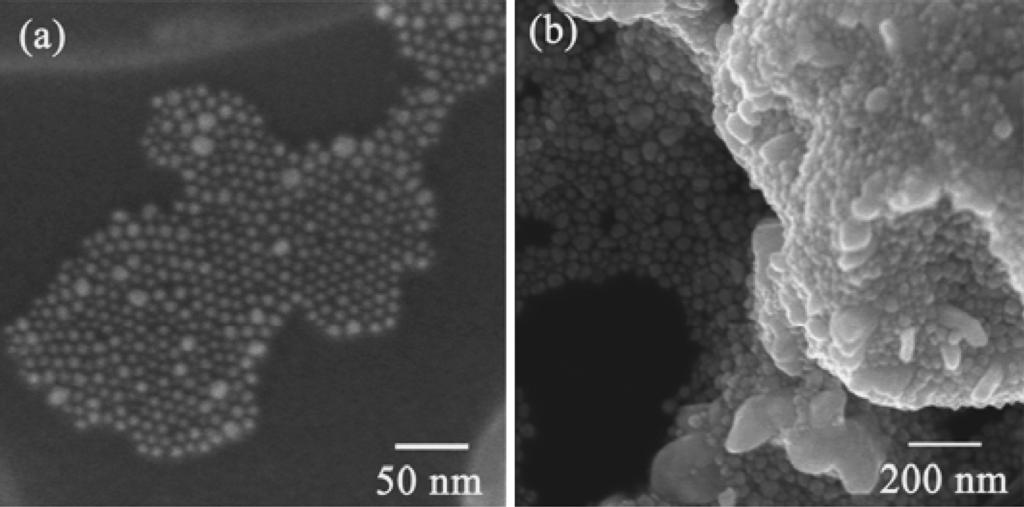 Synthesis of Highly Concentrated Ag Nanoparticles in a Heterogeneous Solid-Liquid System under Ultrasonic Irradiation 1767 Fig.