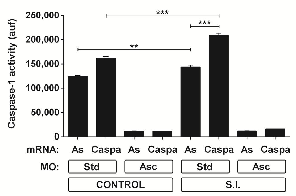 A B C D E F Supplementary Figure 4, related to Figure 3. The Gbp4-mediated resistance to S. Typhimurium is Caspa dependent.