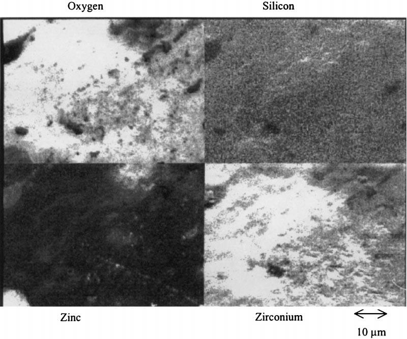 M.F. Montemor et al. / Progress in Organic Coatings 38 (2000) 17 26 23 Fig. 9. Auger maps obtained on the sample treated with silane C.