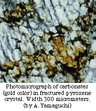 and his colleagues suggested there were fossils of martian organisms associated with carbonate minerals in martian meteorite ALH84001.