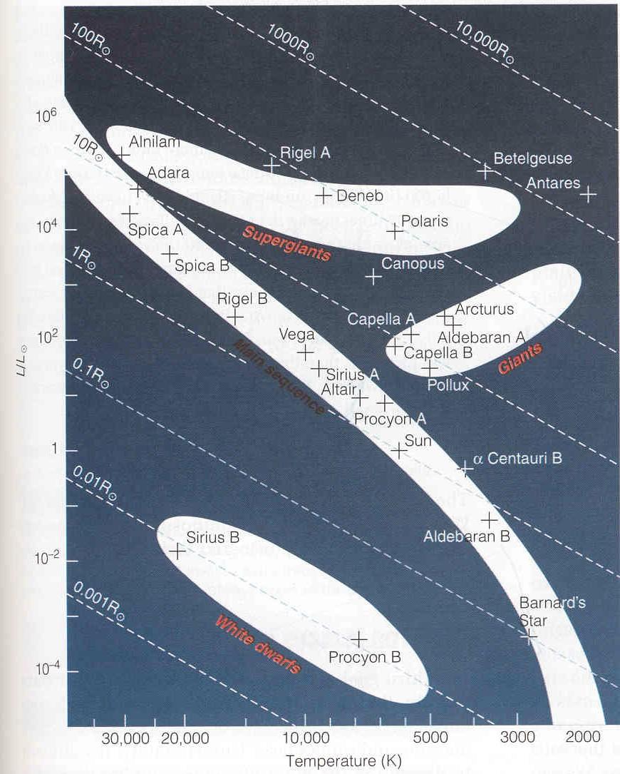 Lines of constant Radius in the H-R diagram Main sequence not quite constant R B stars: R ~10 R Sun M stars: R ~0.1 R Sun l Betelgeuse: R~ 1,000 R Sun Larger than 1 AU White dwarfs: R~ 0.
