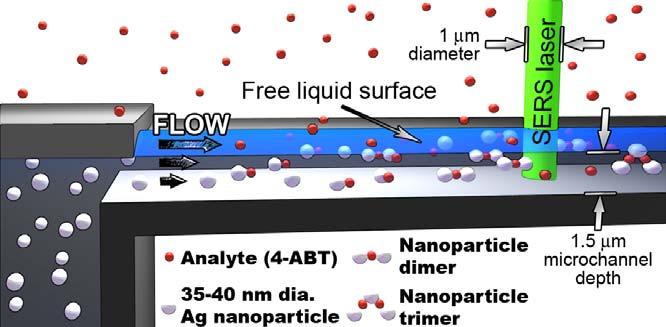 Figure 2 illustrates the integrated free-surface microfluidic platform combined with SERS for molecular-specific detection.