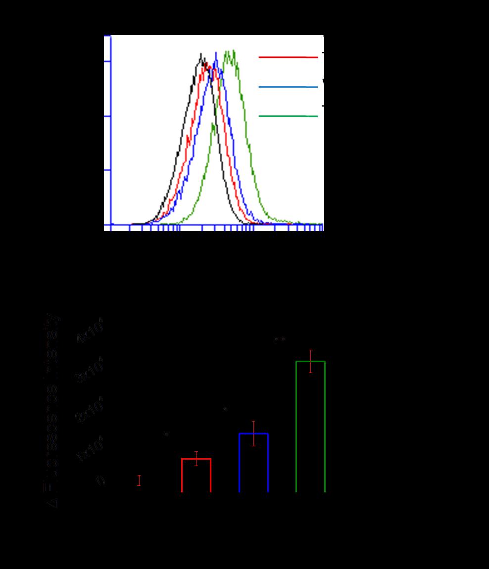 Figure S16. Flow cytometry analysis of the expression of TfR in HEK293A cells.
