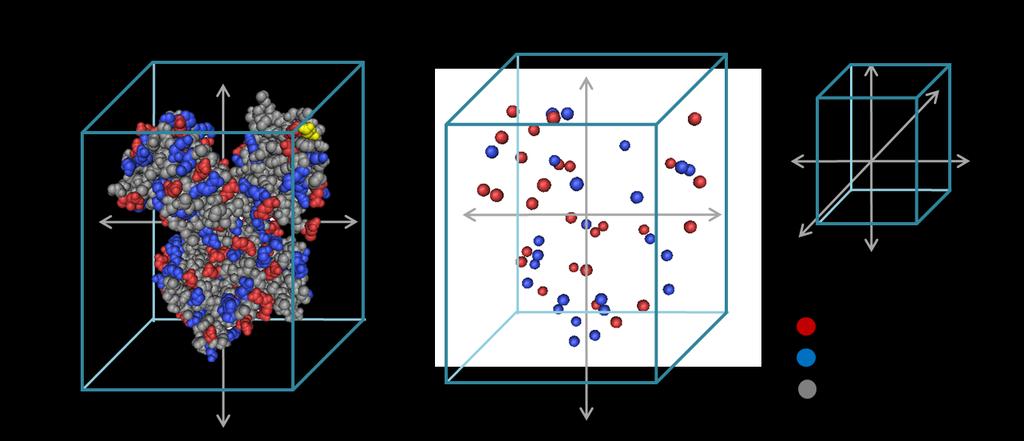 Figure S8. Distribution of transferrin surface charges. (a) Space-filling models of Tf (PDB ID: 4X1B) with color-coded types of charge (red, negative charge; blue, positive charge; grey, no charge).