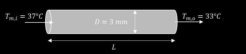 Approximate the properties of blood with those of water. Find: Estimate the rate of heat transfer from the blood and the heat transfer coefficient, assuming fully developed blood flow in the tube.