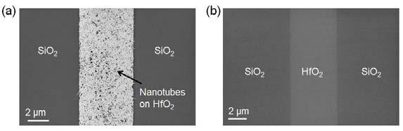 SUPPLEMENTARY INFORMATION Figure S2. (a) High-density nanotubes selectively deposited on a HfO 2 area.