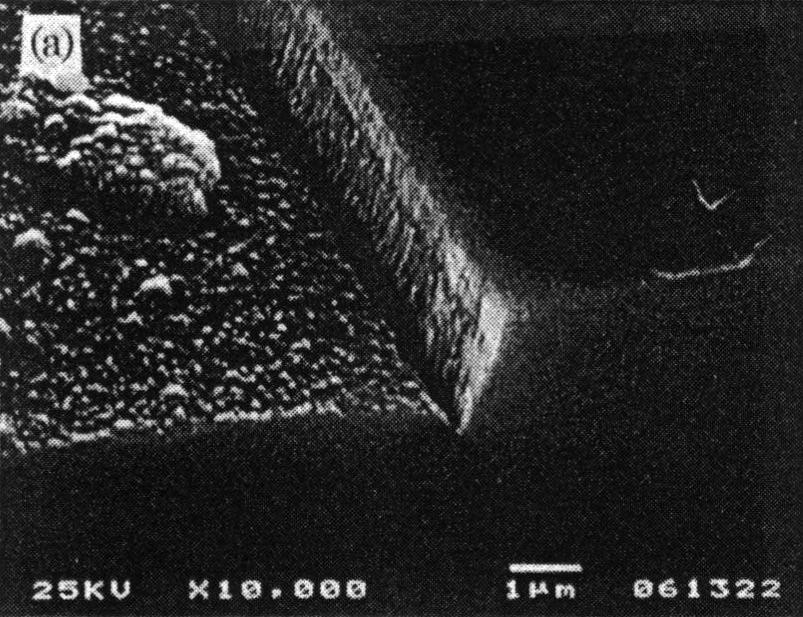 SEM images of the broken ridge waveguides after the SiO 2 buffer layer deposition process.
