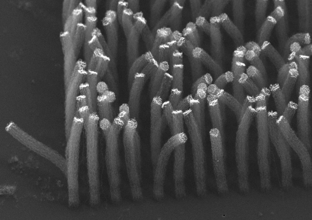 Carbon Nanotube Vacuum Electronics