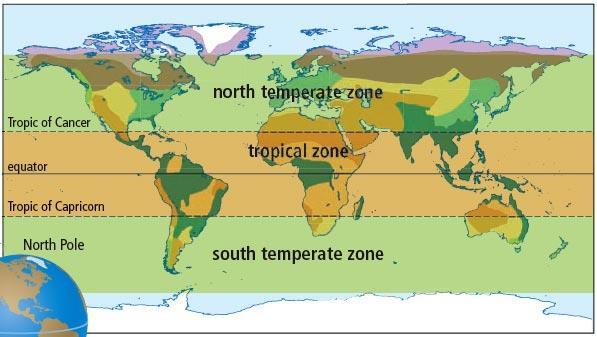 Factors that influence the characteristics and distribution of biomes Latitude: the distance north or