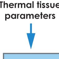 Due to this fact, a thermal model of the human eye is required.