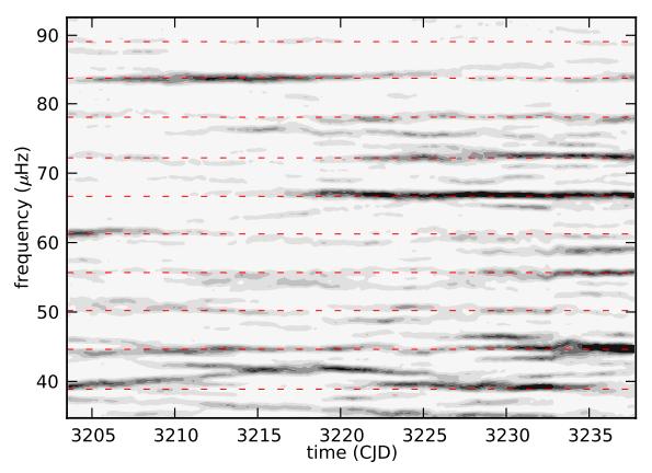 Solar-like oscillations in O star HD 46149 (Degroote et al.