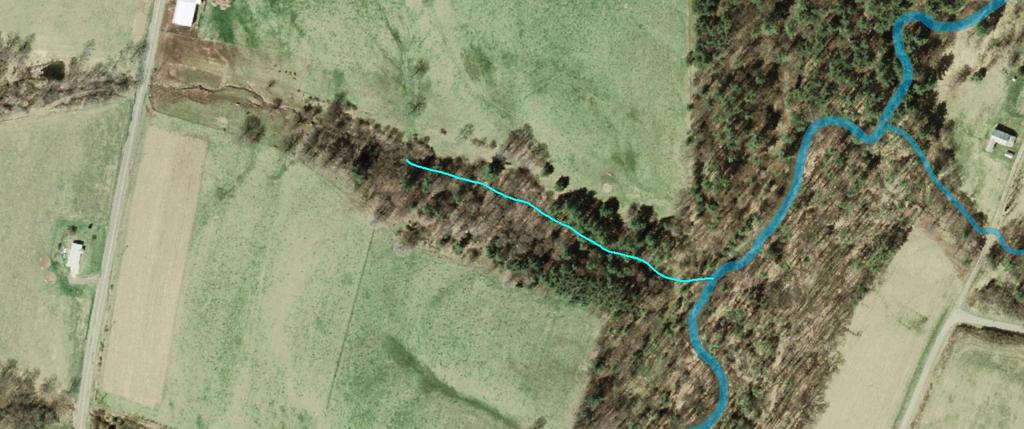 5. Section 4b example stream appears correct, visibility partially obstructed Portions of a stream are visible in reference imagery along the length of the mapped stream, but other portions are