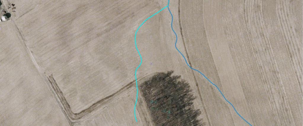 7. Section 4c stream mapped on concentrated flow path, no channel visible Mapped stream follows a path of concentrated flow (as evidenced by the faint