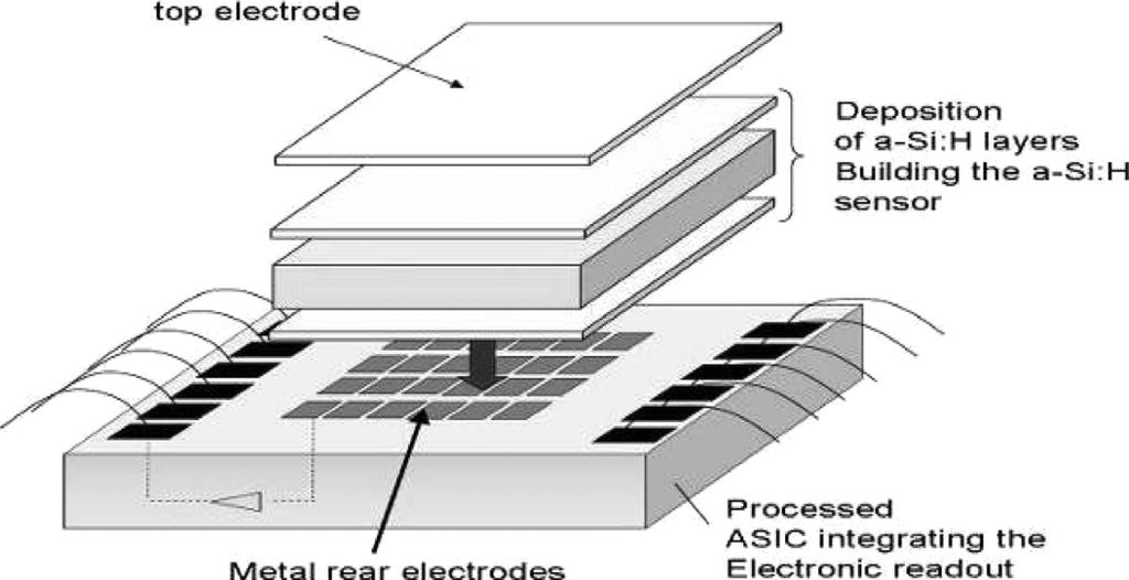 802 IEEE TRANSACTIONS ON NUCLEAR SCIENCE, VOL. 55, NO. 2, APRIL 2008 Hydrogenated Amorphous Silicon Sensor Deposited on Integrated Circuit for Radiation Detection M. Despeisse, G. Anelli, P.