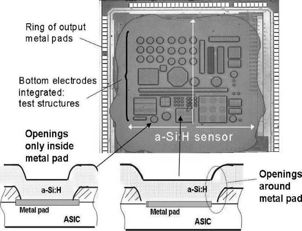 804 IEEE TRANSACTIONS ON NUCLEAR SCIENCE, VOL. 55, NO. 2, APRIL 2008 Fig. 3. Picture of a TFA detector based on a 20 m thick n-i-p a-si:h diode deposited on top of an asihtest integrated circuit.