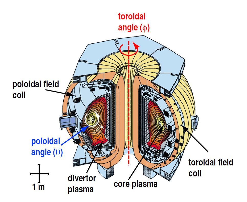 Figure 1: DIII-D tokamak cross section showing toroidal and poloidal magnetic field coils and plasma chamber [2].