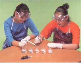 . Be sure to wear gloves, safety glasses, and protective clothing while you are working in the lab.