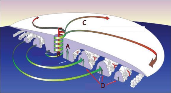 5 SECTION 6: TROPICAL CYCLONES/ HURRICANES (60 pts) Study the figure below and answer questions 21-26 related to it. 21. The letter A locates the A. Eye of the storm. B. Eyewall C.