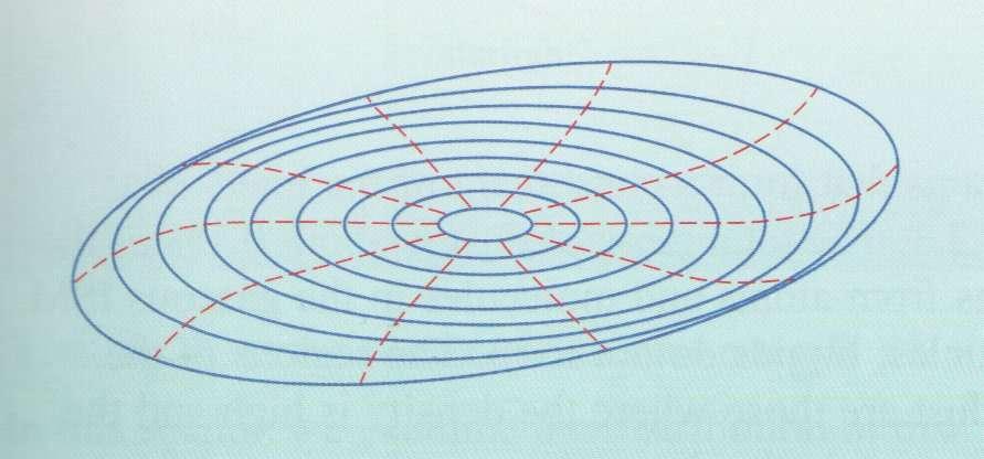 Fig. 1.19 A schematic diagram of the warped disc of gas.