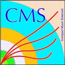 ATLAS and CMS