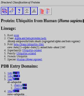 Ubiquitin 1ubi CATH database http://www.biochem.ucl.ac.