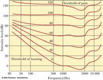 Various Intensities of Sound Threshold of hearing Faintest sound most humans can hear About 1 x 10-12 W/m 2 Threshold of pain Loudest sound most humans can tolerate About 1 W/m 2 The ear is a very