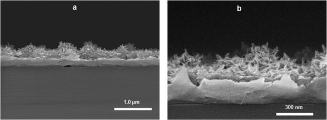 In situ observations of the nucleation, growth and coalescence of condensed microdroplets on structured surfaces The condensation on structured superhydrophobic surfaces was recorded for 10 min with