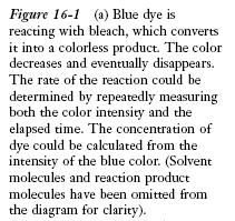 The concentration of the dye could be calculated from the intensity of the blue colour. 5 A spectroscopic method for determining reaction rates.