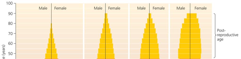 Population characteristics Sex ratio = proportion of males to females - In
