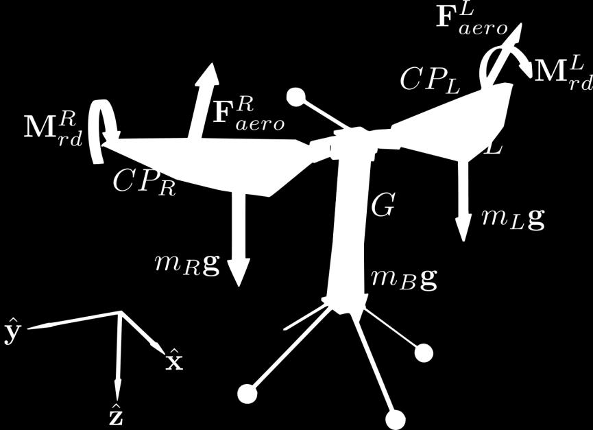 ሶ ሶ ሶ ሶ ሶ Rigid Body Dynamics Angular momentum balance about body CG: M G = Hሶ G M L G + M R G = H B G + ሶ H G L + Blade-element theory used to calculate aerodynamic forces and moments Hሶ R G