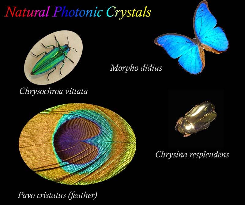 Outline: Photonic crystals 2 1. Photonic crystals vs electronic crystal 2. 1D, 2D, 3D photonic crystals 3.