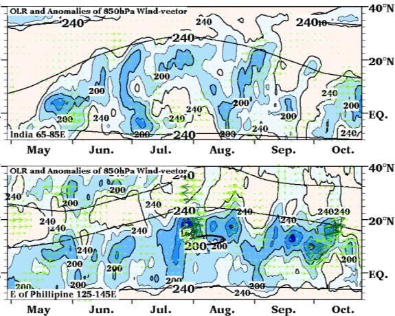 These characteristics of anomalous circulation indicate enhanced large-scale circulation related to the monsoon.