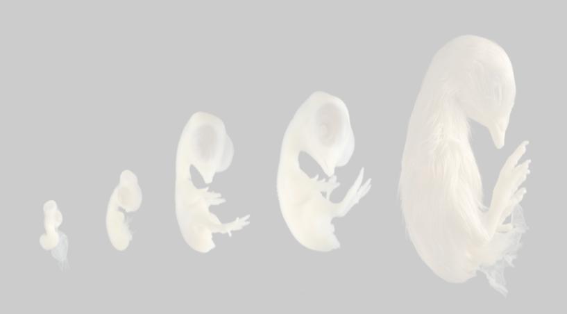 Embryology is a branch of developmental biology that focuses on the early development of an organism before it is born or hatched.