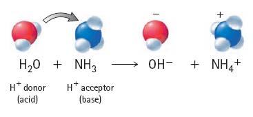 Acid-Base Reactions Hydronium Ion Transfer of hydrogen ions protons Makes