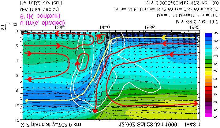 Vertical Cross-Section Hardly any cold pool temperature perturbation -> Little buoyancy production of negative vorticity; Convergence at the gust front is due to rotor