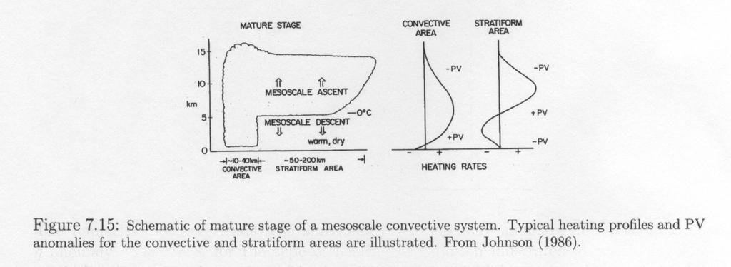 Generation of PV within a MCS Heating = latent heat release by condensation Cooling = evaporation of condensate Convective core: Strong convective heating located in mid-troposphere.