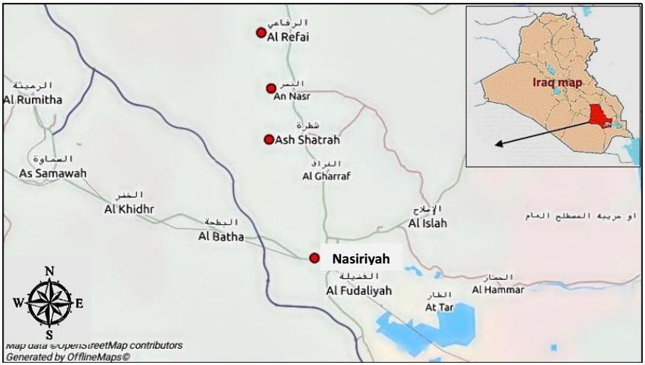 Figure Caption: 0 Figure. Map showing the four scorpion sampling localities sites in DhiQar province, southern Iraq. Figure. Dorsal and ventral views of the scorpions.