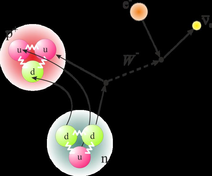 Charged currents in weak decays of hadrons understood in terms of basic processes in which W ± bosons are emitted or absorped by their constituents quarks: W