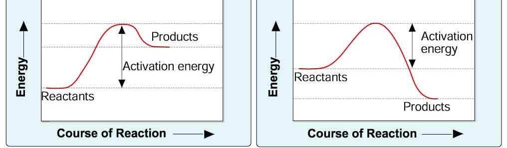 2 4 Chemical Reactions and Enzymes Energy in Reactions Activation energy is a factor