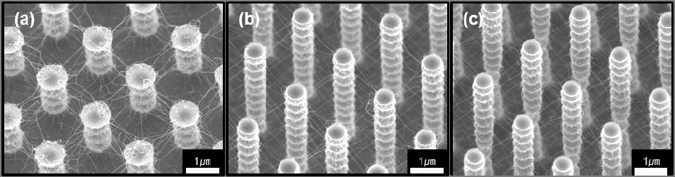 1. Introduction Carbon nanotubes (CNTs) are the most attractive material in the fields of nanoscience and nanotechnology due to their chemical, physical and electrical properties.