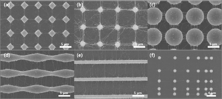 by using photolithography process. After making variety patterns of template, catalysts were deposited on the template by dipping method using inorganic catalyst solution.