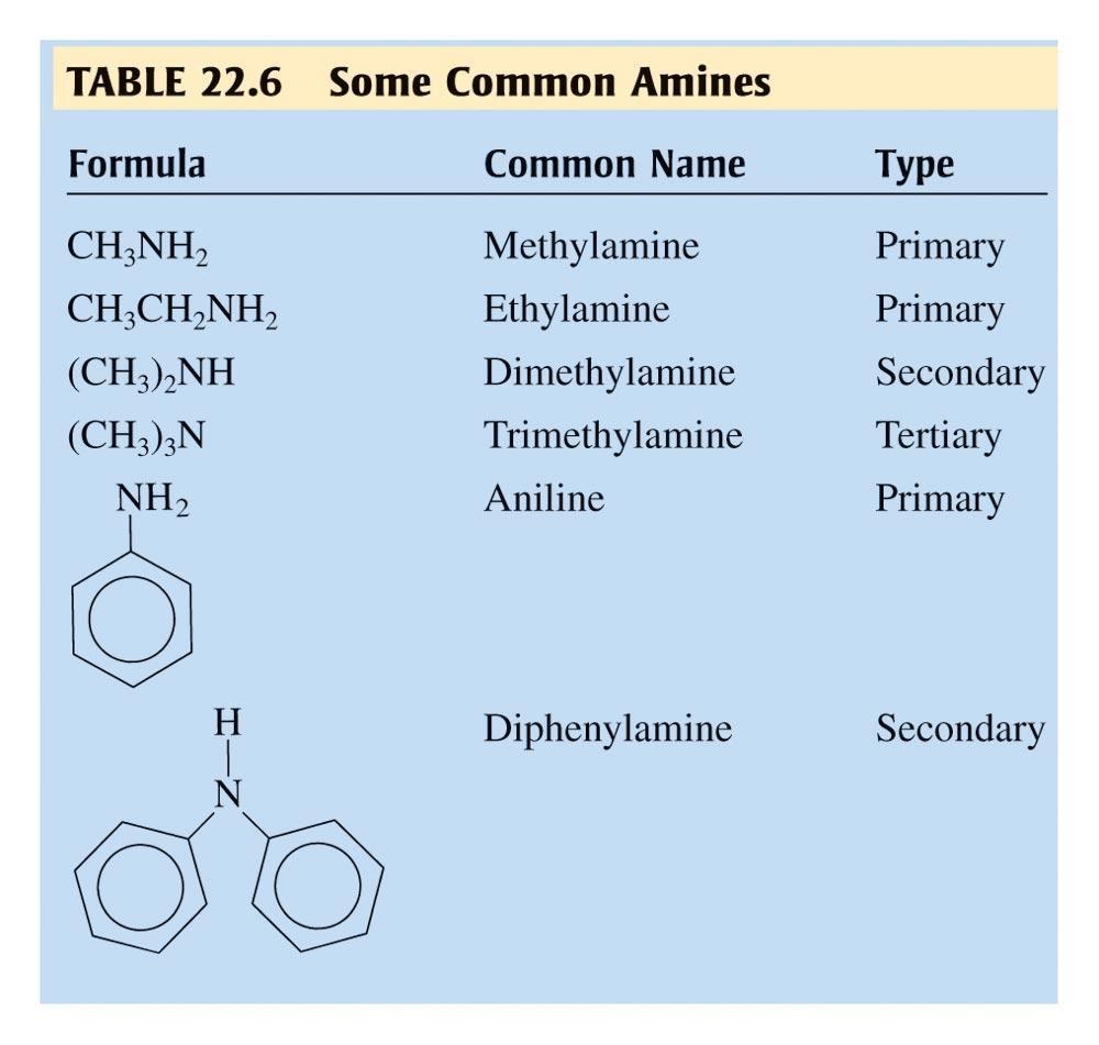 Amines They are organic bases with the general formula RN 2 The common names are often used for simple amines, and the systematic name is obtained by using the