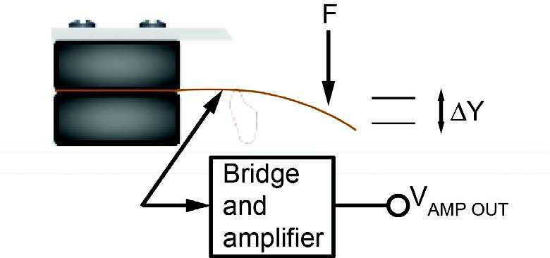 Transducer Fundamentals The Strain Gauge A force (F) is applied to the end of the beam. Y).